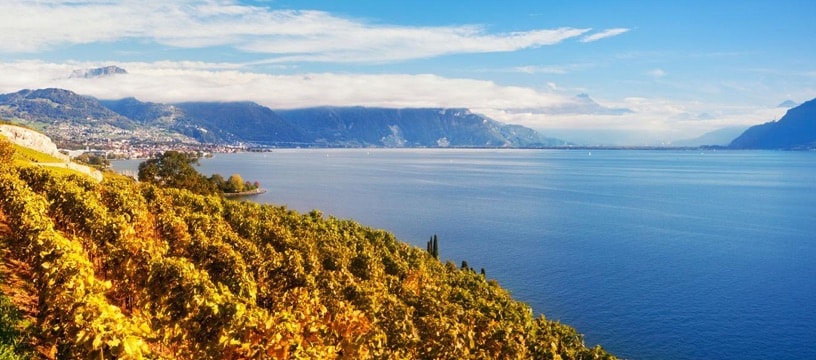 culture-lavaux